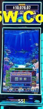Daily Bonuses 55l
